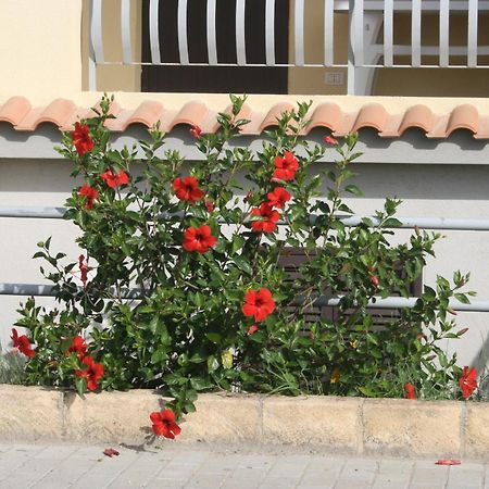 Baia Dei Canonici Aparthotel Villaggio Le Rocelle Exterior foto