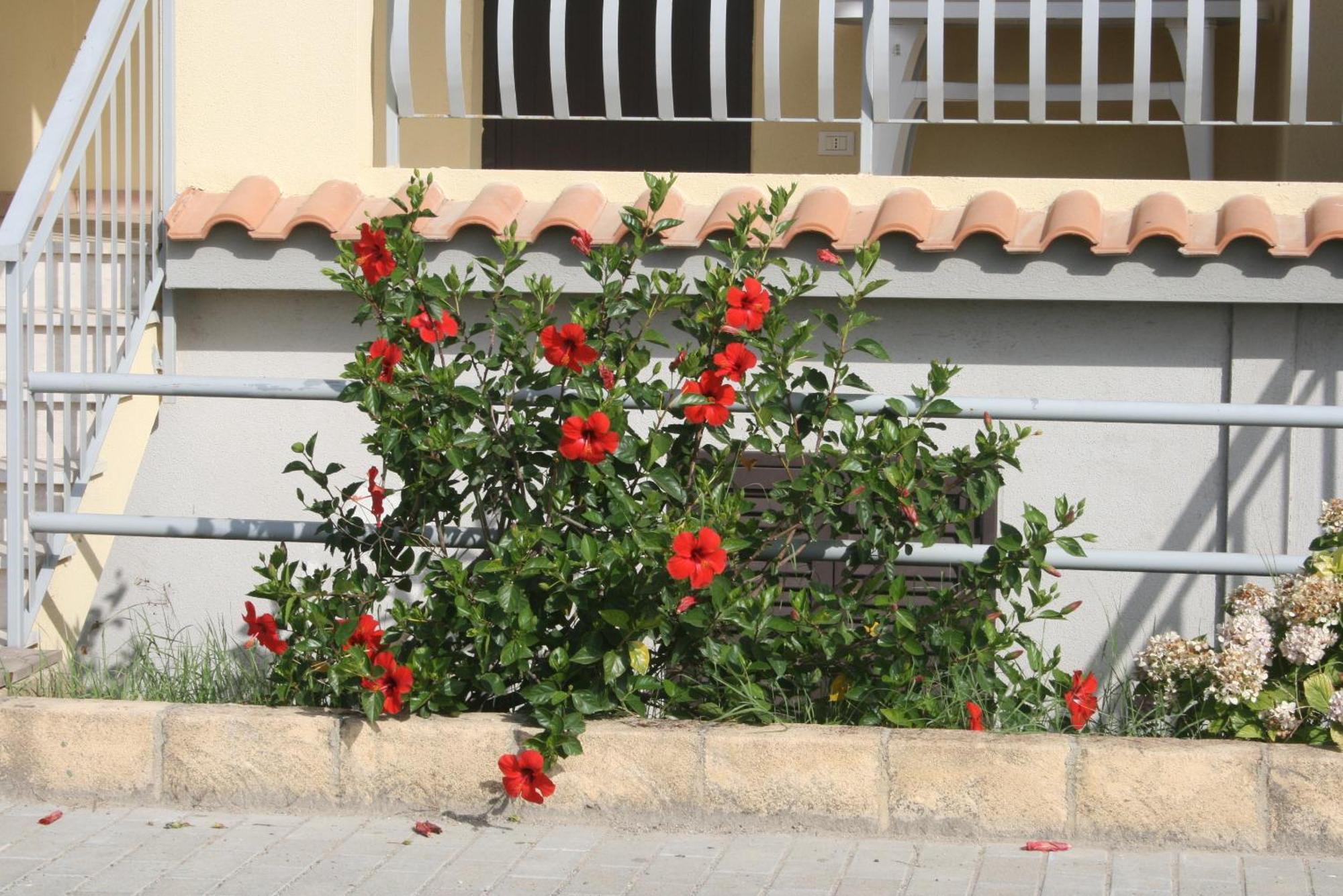 Baia Dei Canonici Aparthotel Villaggio Le Rocelle Exterior foto